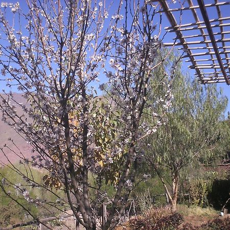 Ijjoukak Auberge Tigmmi N'Tamazirte מראה חיצוני תמונה