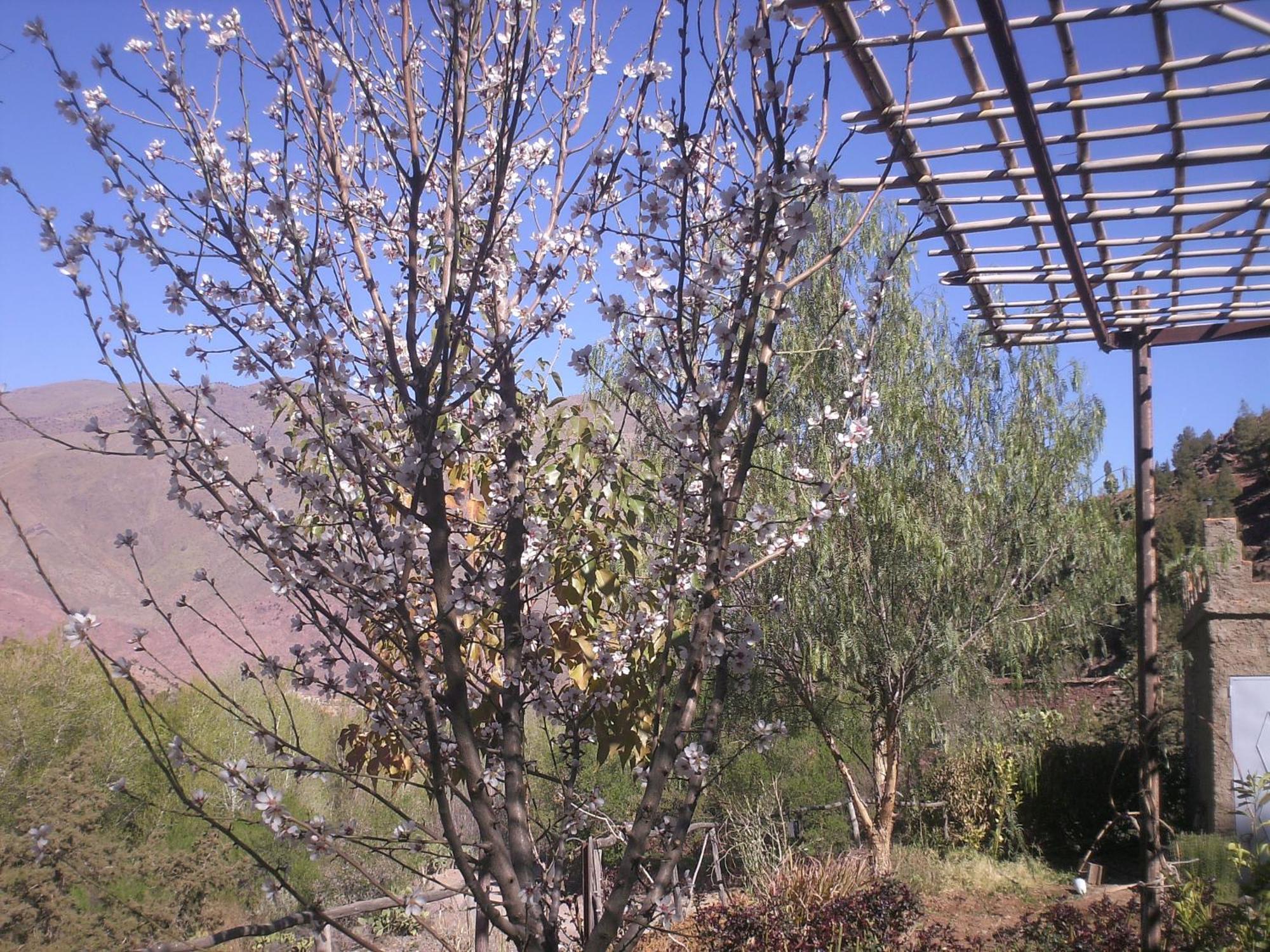 Ijjoukak Auberge Tigmmi N'Tamazirte מראה חיצוני תמונה